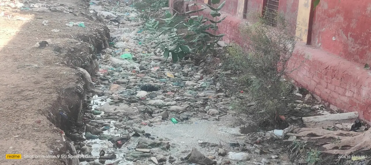 शहर का यह नाला आमजन के लिए बना परेशानी का सबब